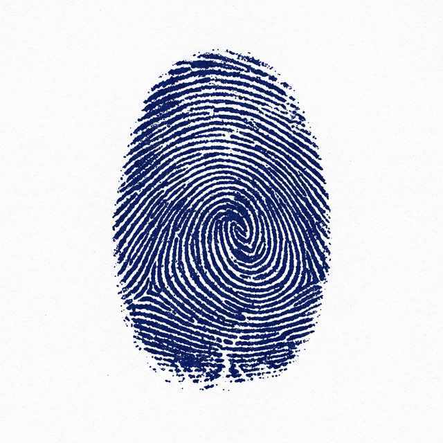 Fingerprint and truth verification illustration